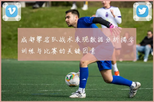 成都攀岩队战术表现数据分析揭示训练与比赛的关键因素